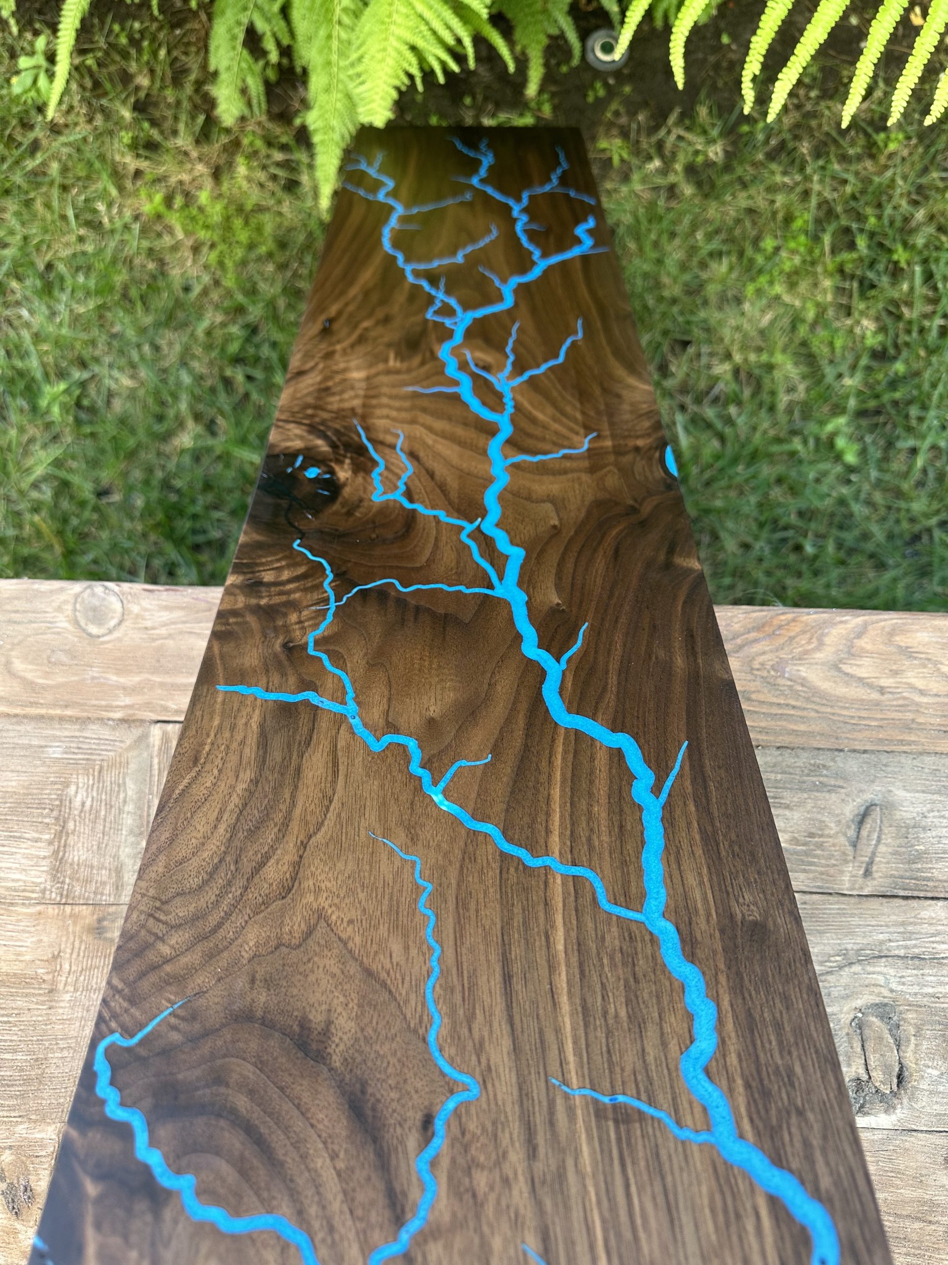 1AED5779-84F2-4E0D-A6F2-CEF9DDF66694-scaled